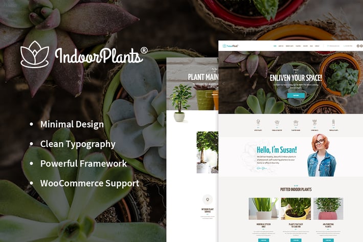Indoor Plants 园艺景观